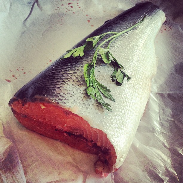 salmone 1
