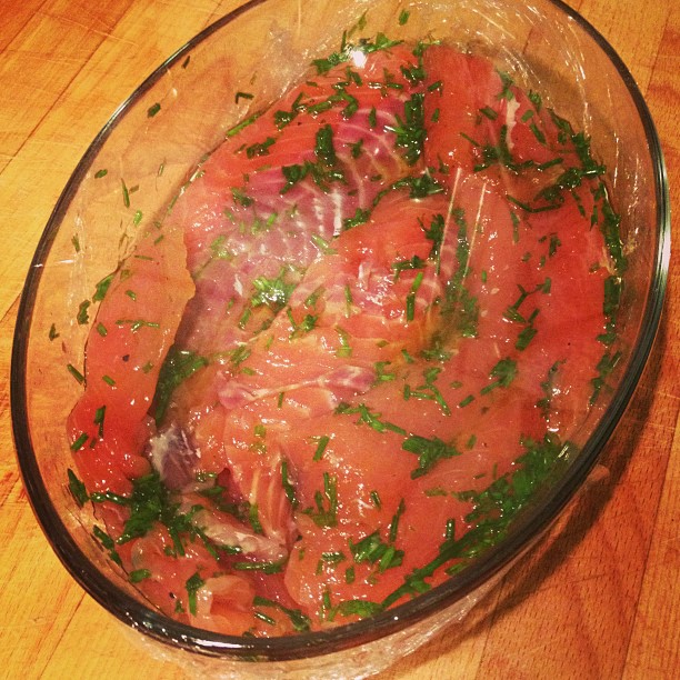 salmone 5