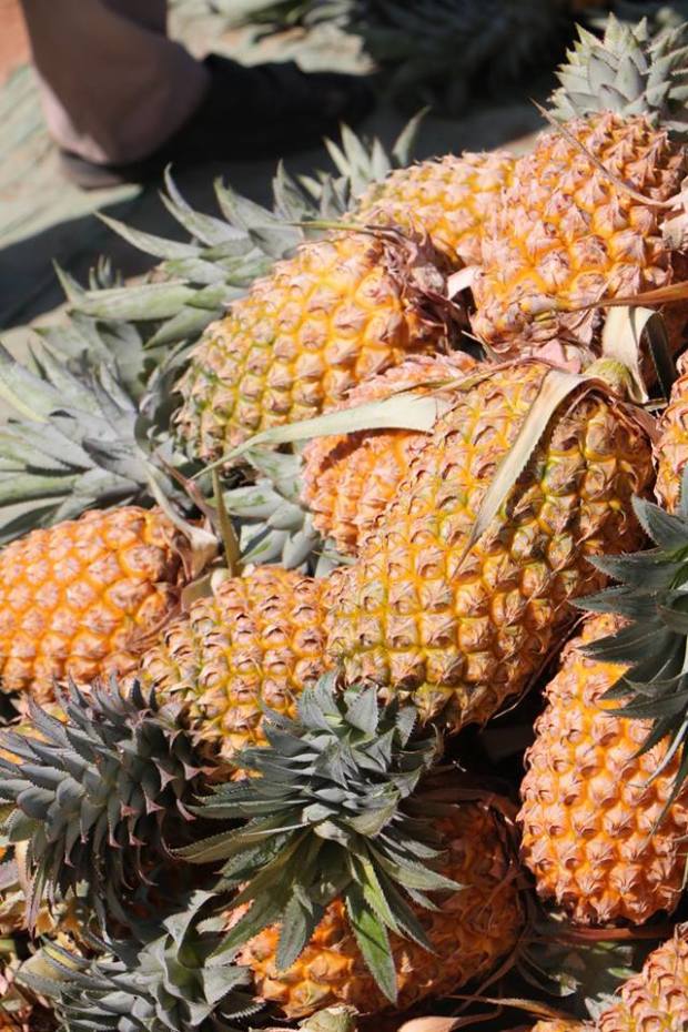 Ananas_India