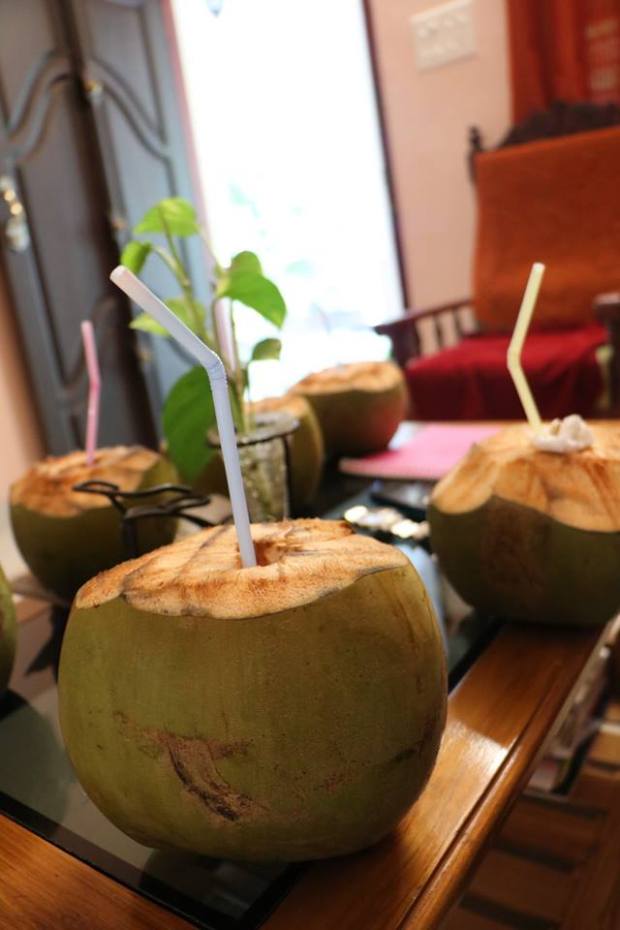 Cocco verde_India