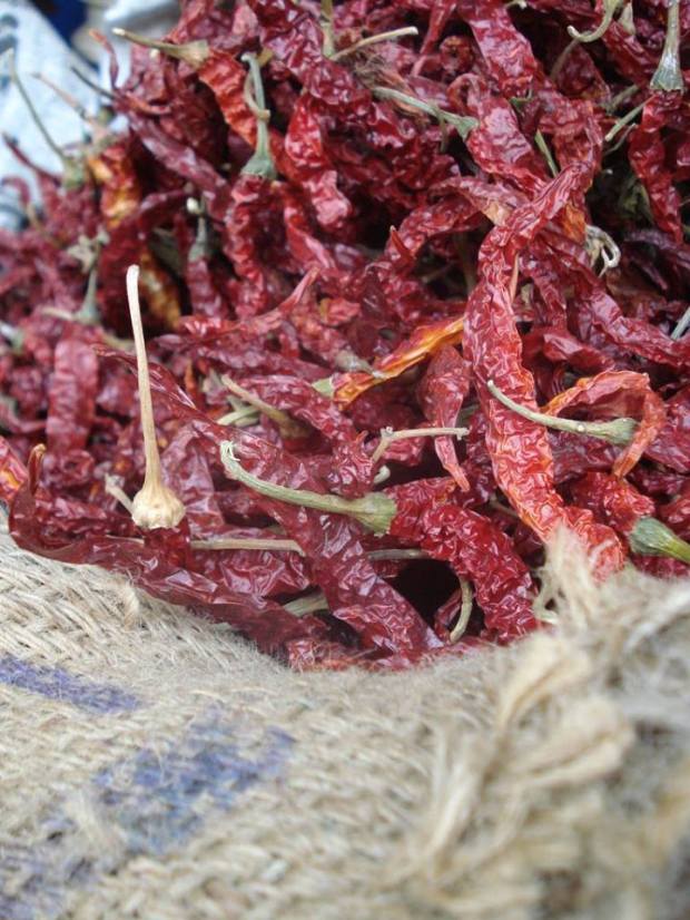 Peperoncino_India