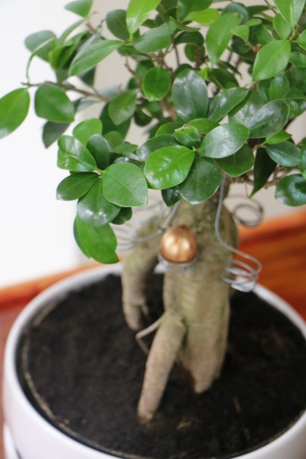 azurmendi eneko atxa_appetizer