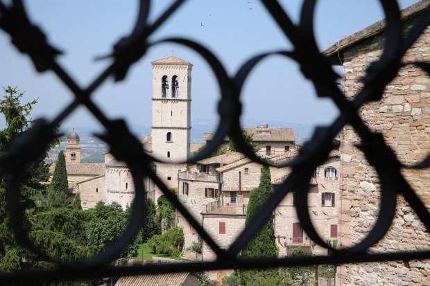 assisi-1