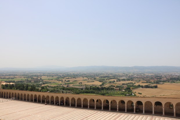 assisi